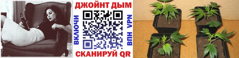Магазины продажи наркотиков Мантурово Бошки Шишки МЕФ