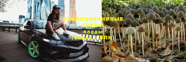 МДПВ Ладушкин