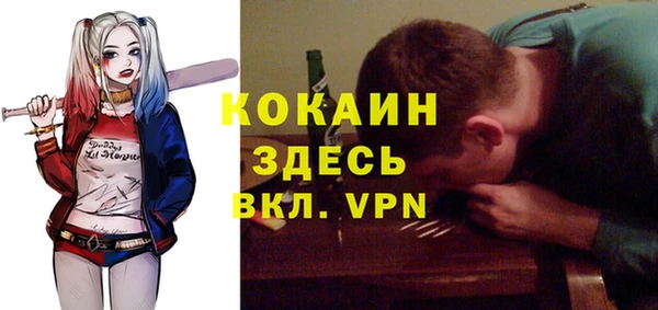 МДПВ Ладушкин